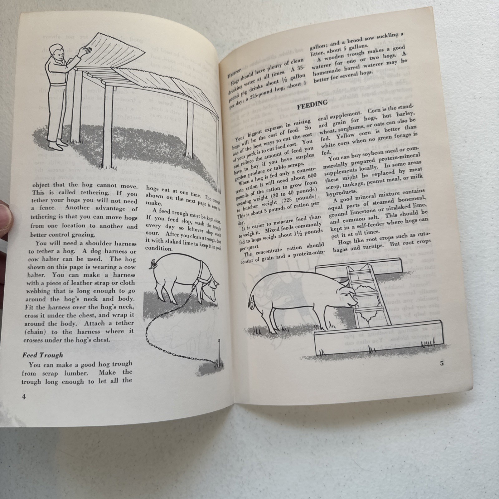 Raising A Few Hogs 1966 U.S. Department of Agriculture Leaflet No. 537