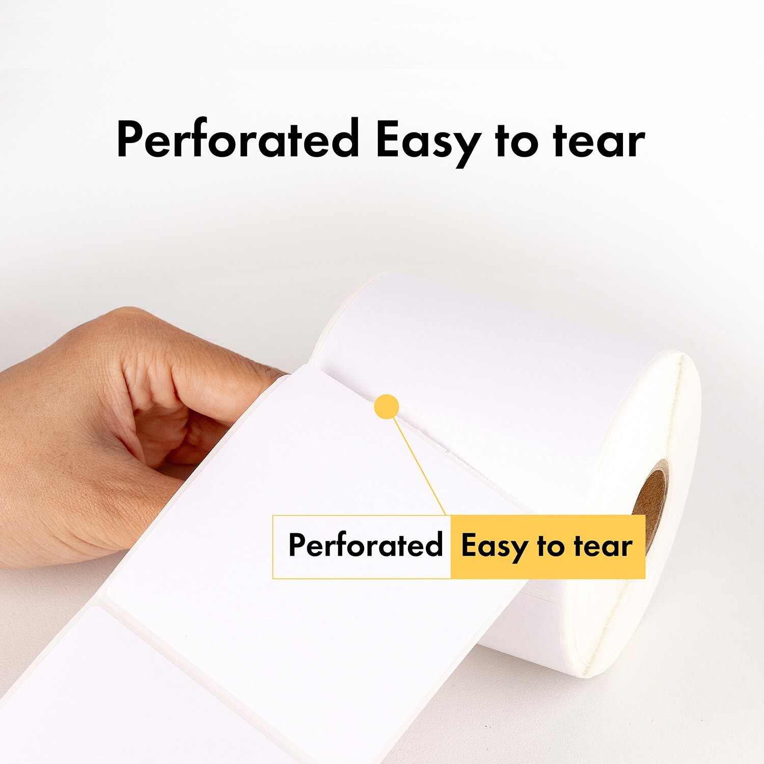 ZEBRA / ELTRON 2×3 (2″ x 3″) Direct Thermal Labels – (1) Roll of 500